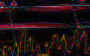 Sharp YUV's error, amplified four times: the same bands, a little dimmer.